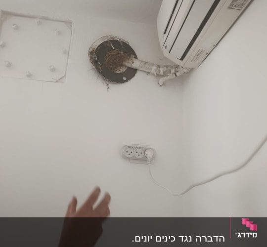 יד מושטת לכיוון פתח עם קן ציפורים
